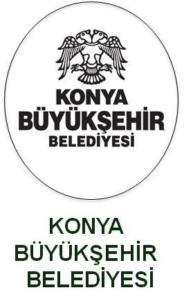 Solution Partners